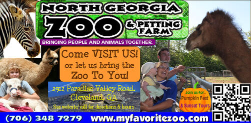Exotic animal Rescue at North Georgia Zoo - North Georgia Wildlife Park